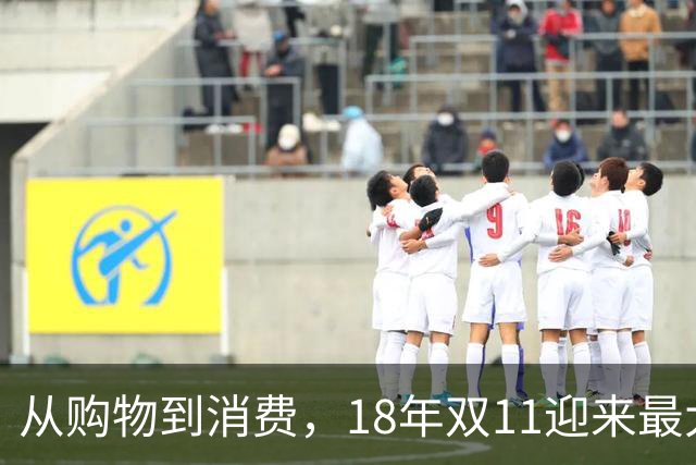 从购物到消费，18年双11迎来最大一次跃迁